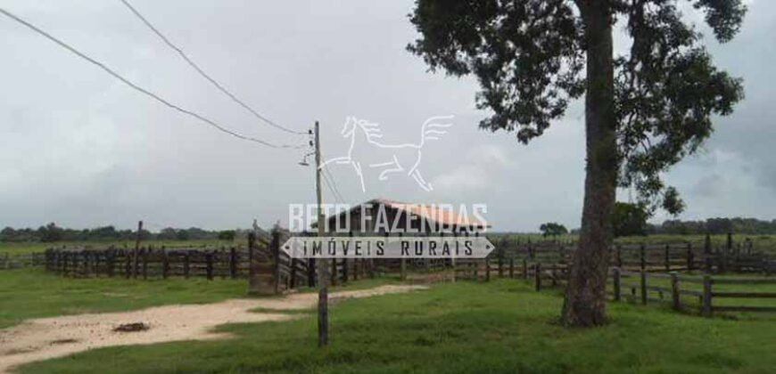 Fazenda à Venda 87.945 Hectares para Pecuária no Pantanal | Cáceres/ MT