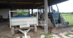 Fazenda à Venda 87.945 Hectares para Pecuária no Pantanal | Cáceres/ MT