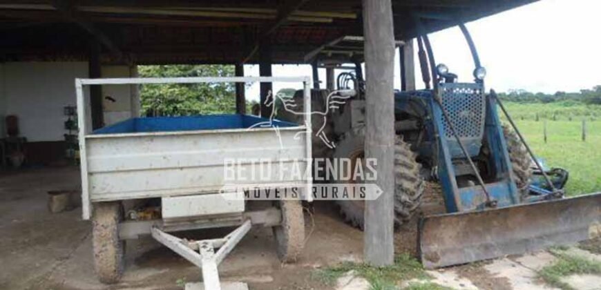 Fazenda à Venda 87.945 Hectares para Pecuária no Pantanal | Cáceres/ MT