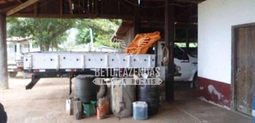 Fazenda à Venda 87.945 Hectares para Pecuária no Pantanal | Cáceres/ MT