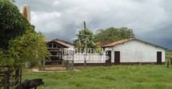 Fazenda à Venda 87.945 Hectares para Pecuária no Pantanal | Cáceres/ MT