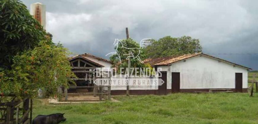 Fazenda à Venda 87.945 Hectares para Pecuária no Pantanal | Cáceres/ MT