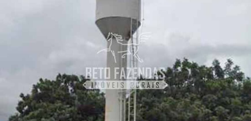 Fazenda à Venda 87.945 Hectares para Pecuária no Pantanal | Cáceres/ MT