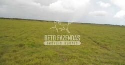 Fazenda à Venda 87.945 Hectares para Pecuária no Pantanal | Cáceres/ MT