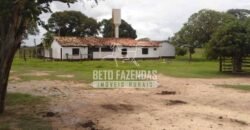 Fazenda à Venda 87.945 Hectares para Pecuária no Pantanal | Cáceres/ MT