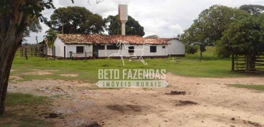 Fazenda à Venda 87.945 Hectares para Pecuária no Pantanal | Cáceres/ MT