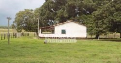 Fazenda à Venda 87.945 Hectares para Pecuária no Pantanal | Cáceres/ MT