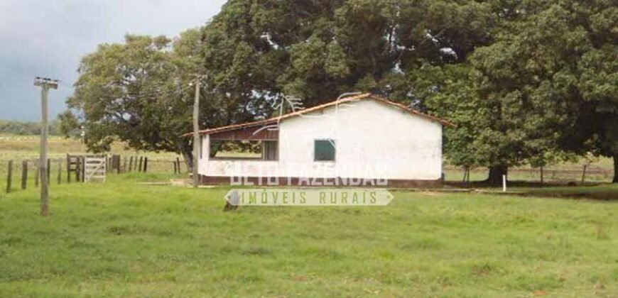 Fazenda à Venda 87.945 Hectares para Pecuária no Pantanal | Cáceres/ MT