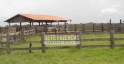 Fazenda à Venda 87.945 Hectares para Pecuária no Pantanal | Cáceres/ MT