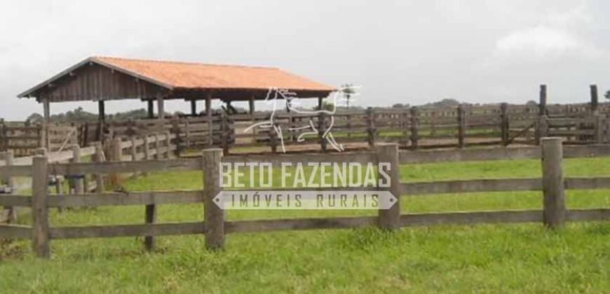 Fazenda à Venda 87.945 Hectares para Pecuária no Pantanal | Cáceres/ MT