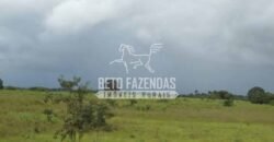 Fazenda à Venda 87.945 Hectares para Pecuária no Pantanal | Cáceres/ MT