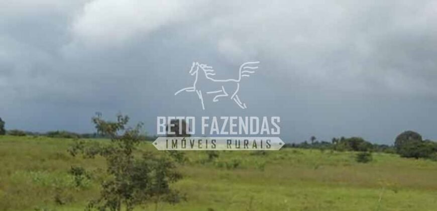 Fazenda à Venda 87.945 Hectares para Pecuária no Pantanal | Cáceres/ MT