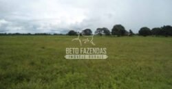 Fazenda à Venda 87.945 Hectares para Pecuária no Pantanal | Cáceres/ MT