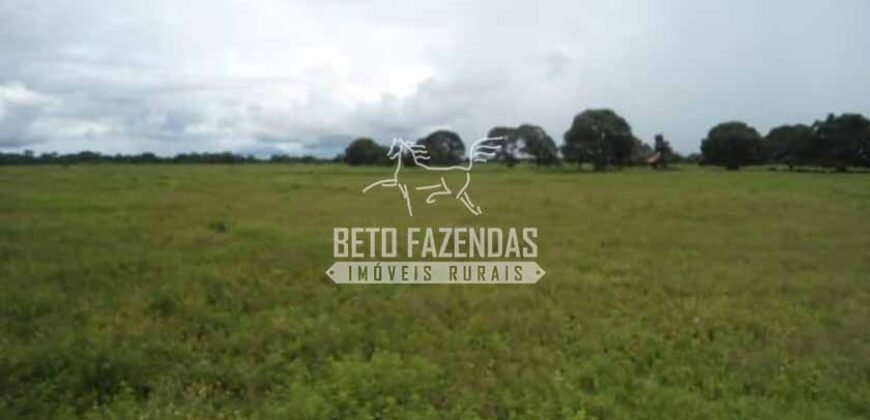 Fazenda à Venda 87.945 Hectares para Pecuária no Pantanal | Cáceres/ MT