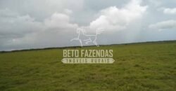 Fazenda à Venda 87.945 Hectares para Pecuária no Pantanal | Cáceres/ MT