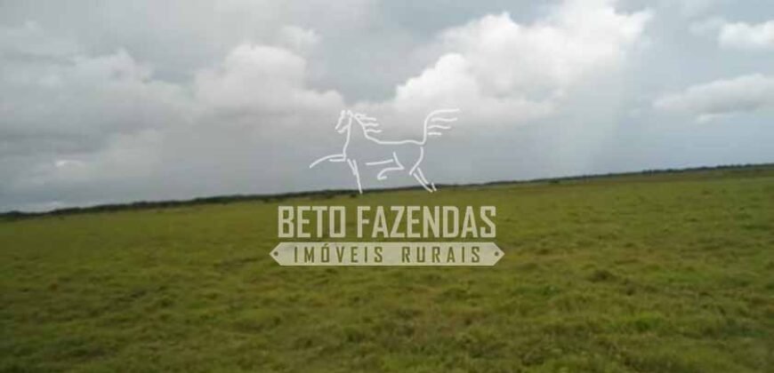 Fazenda à Venda 87.945 Hectares para Pecuária no Pantanal | Cáceres/ MT