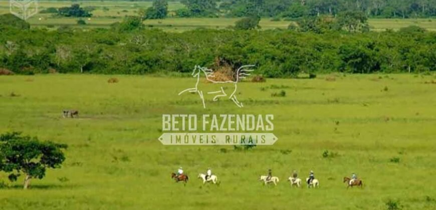 Fazenda à Venda 87.945 Hectares para Pecuária no Pantanal | Cáceres/ MT