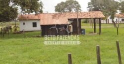 Fazenda à Venda 87.945 Hectares para Pecuária no Pantanal | Cáceres/ MT