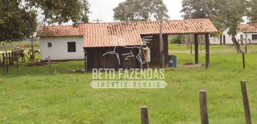 Fazenda à Venda 87.945 Hectares para Pecuária no Pantanal | Cáceres/ MT