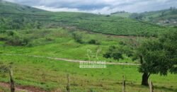 Fazenda à Venda 100 hectares Lavoura Café e Pecuária | Santa Rita do Sapucaí/MG Fazenda à Venda 100 hectares Lavoura Café e Pecuária | Santa Rita do Sapucaí/MG