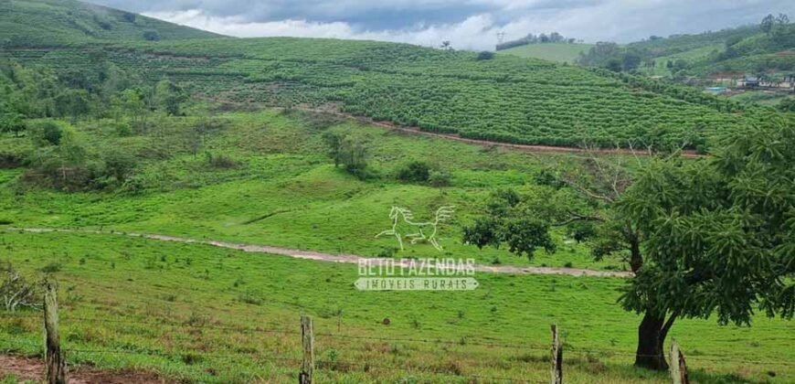 Fazenda à Venda 100 hectares Lavoura Café e Pecuária | Santa Rita do Sapucaí/MG Fazenda à Venda 100 hectares Lavoura Café e Pecuária | Santa Rita do Sapucaí/MG