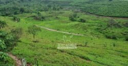 Fazenda à Venda 100 hectares Lavoura Café e Pecuária | Santa Rita do Sapucaí/MG Fazenda à Venda 100 hectares Lavoura Café e Pecuária | Santa Rita do Sapucaí/MG