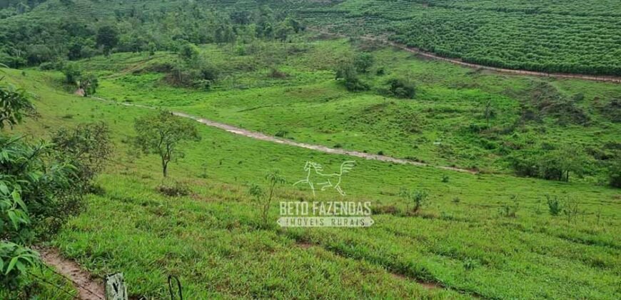 Fazenda à Venda 100 hectares Lavoura Café e Pecuária | Santa Rita do Sapucaí/MG Fazenda à Venda 100 hectares Lavoura Café e Pecuária | Santa Rita do Sapucaí/MG