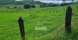 Fazenda à Venda 100 hectares Lavoura Café e Pecuária | Santa Rita do Sapucaí/MG Fazenda à Venda 100 hectares Lavoura Café e Pecuária | Santa Rita do Sapucaí/MG