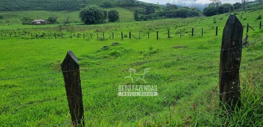 Fazenda à Venda 100 hectares Lavoura Café e Pecuária | Santa Rita do Sapucaí/MG Fazenda à Venda 100 hectares Lavoura Café e Pecuária | Santa Rita do Sapucaí/MG