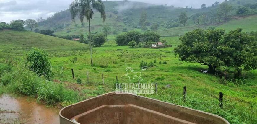 Fazenda à Venda 100 hectares Lavoura Café e Pecuária | Santa Rita do Sapucaí/MG Fazenda à Venda 100 hectares Lavoura Café e Pecuária | Santa Rita do Sapucaí/MG