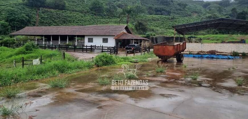 Fazenda à Venda 100 hectares Lavoura Café e Pecuária | Santa Rita do Sapucaí/MG Fazenda à Venda 100 hectares Lavoura Café e Pecuária | Santa Rita do Sapucaí/MG
