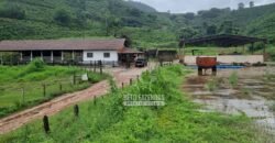 Fazenda à Venda 100 hectares Lavoura Café e Pecuária | Santa Rita do Sapucaí/MG Fazenda à Venda 100 hectares Lavoura Café e Pecuária | Santa Rita do Sapucaí/MG