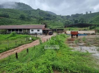 Fazenda à Venda 100 hectares Lavoura Café e Pecuária | Santa Rita do Sapucaí/MG