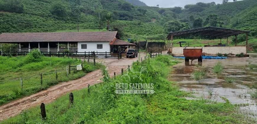 Fazenda à Venda 100 hectares Lavoura Café e Pecuária | Santa Rita do Sapucaí/MG Fazenda à Venda 100 hectares Lavoura Café e Pecuária | Santa Rita do Sapucaí/MG