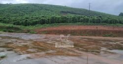 Fazenda à Venda 100 hectares Lavoura Café e Pecuária | Santa Rita do Sapucaí/MG Fazenda à Venda 100 hectares Lavoura Café e Pecuária | Santa Rita do Sapucaí/MG