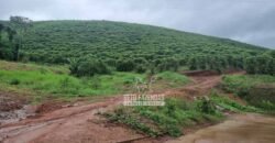 Fazenda à Venda 100 hectares Lavoura Café e Pecuária | Santa Rita do Sapucaí/MG Fazenda à Venda 100 hectares Lavoura Café e Pecuária | Santa Rita do Sapucaí/MG