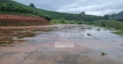 Fazenda à Venda 100 hectares Lavoura Café e Pecuária | Santa Rita do Sapucaí/MG Fazenda à Venda 100 hectares Lavoura Café e Pecuária | Santa Rita do Sapucaí/MG