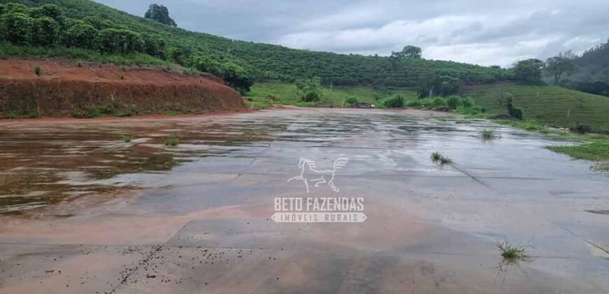 Fazenda à Venda 100 hectares Lavoura Café e Pecuária | Santa Rita do Sapucaí/MG Fazenda à Venda 100 hectares Lavoura Café e Pecuária | Santa Rita do Sapucaí/MG