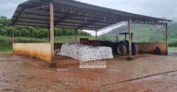 Fazenda à Venda 100 hectares Lavoura Café e Pecuária | Santa Rita do Sapucaí/MG Fazenda à Venda 100 hectares Lavoura Café e Pecuária | Santa Rita do Sapucaí/MG