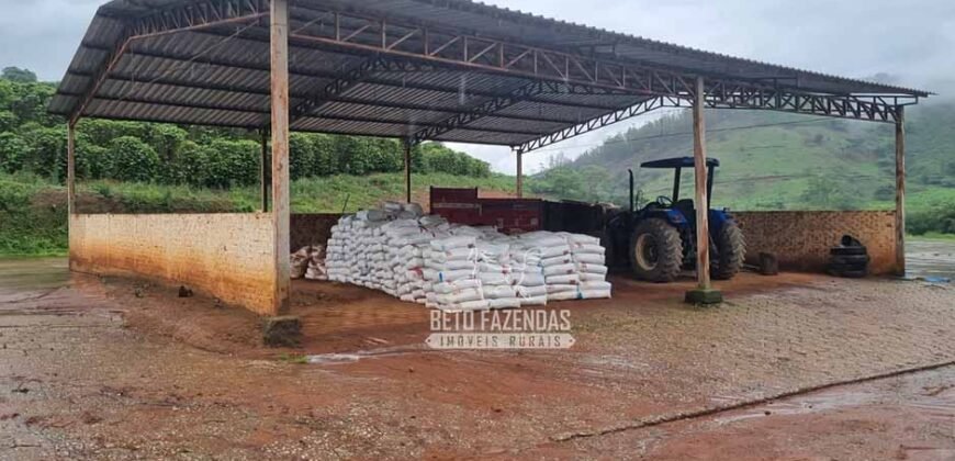 Fazenda à Venda 100 hectares Lavoura Café e Pecuária | Santa Rita do Sapucaí/MG Fazenda à Venda 100 hectares Lavoura Café e Pecuária | Santa Rita do Sapucaí/MG