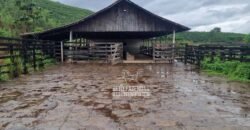 Fazenda à Venda 100 hectares Lavoura Café e Pecuária | Santa Rita do Sapucaí/MG Fazenda à Venda 100 hectares Lavoura Café e Pecuária | Santa Rita do Sapucaí/MG