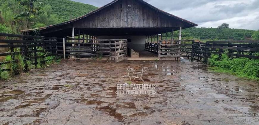 Fazenda à Venda 100 hectares Lavoura Café e Pecuária | Santa Rita do Sapucaí/MG Fazenda à Venda 100 hectares Lavoura Café e Pecuária | Santa Rita do Sapucaí/MG
