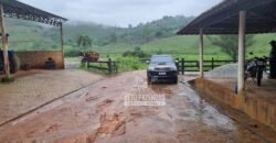 Fazenda à Venda 100 hectares Lavoura Café e Pecuária | Santa Rita do Sapucaí/MG Fazenda à Venda 100 hectares Lavoura Café e Pecuária | Santa Rita do Sapucaí/MG