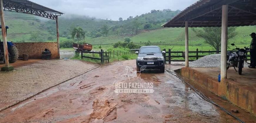 Fazenda à Venda 100 hectares Lavoura Café e Pecuária | Santa Rita do Sapucaí/MG Fazenda à Venda 100 hectares Lavoura Café e Pecuária | Santa Rita do Sapucaí/MG