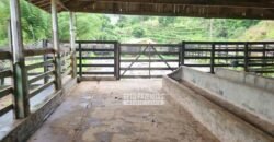 Fazenda à Venda 100 hectares Lavoura Café e Pecuária | Santa Rita do Sapucaí/MG Fazenda à Venda 100 hectares Lavoura Café e Pecuária | Santa Rita do Sapucaí/MG