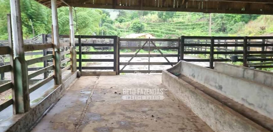 Fazenda à Venda 100 hectares Lavoura Café e Pecuária | Santa Rita do Sapucaí/MG Fazenda à Venda 100 hectares Lavoura Café e Pecuária | Santa Rita do Sapucaí/MG