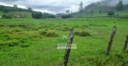 Fazenda à Venda 100 hectares Lavoura Café e Pecuária | Santa Rita do Sapucaí/MG Fazenda à Venda 100 hectares Lavoura Café e Pecuária | Santa Rita do Sapucaí/MG