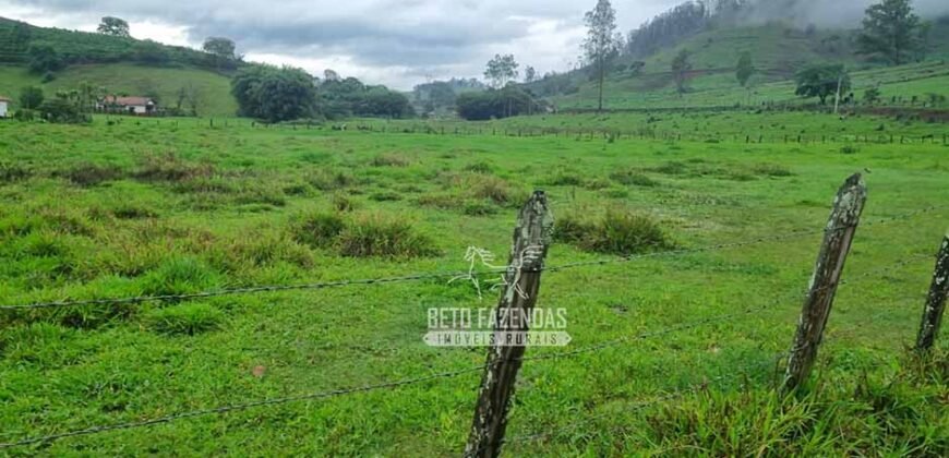 Fazenda à Venda 100 hectares Lavoura Café e Pecuária | Santa Rita do Sapucaí/MG Fazenda à Venda 100 hectares Lavoura Café e Pecuária | Santa Rita do Sapucaí/MG