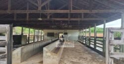 Fazenda à Venda 100 hectares Lavoura Café e Pecuária | Santa Rita do Sapucaí/MG Fazenda à Venda 100 hectares Lavoura Café e Pecuária | Santa Rita do Sapucaí/MG