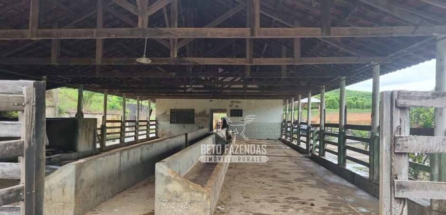 Fazenda à Venda 100 hectares Lavoura Café e Pecuária | Santa Rita do Sapucaí/MG Fazenda à Venda 100 hectares Lavoura Café e Pecuária | Santa Rita do Sapucaí/MG